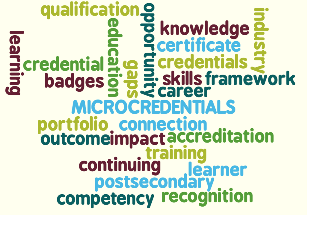 Micro-credentials word cloud